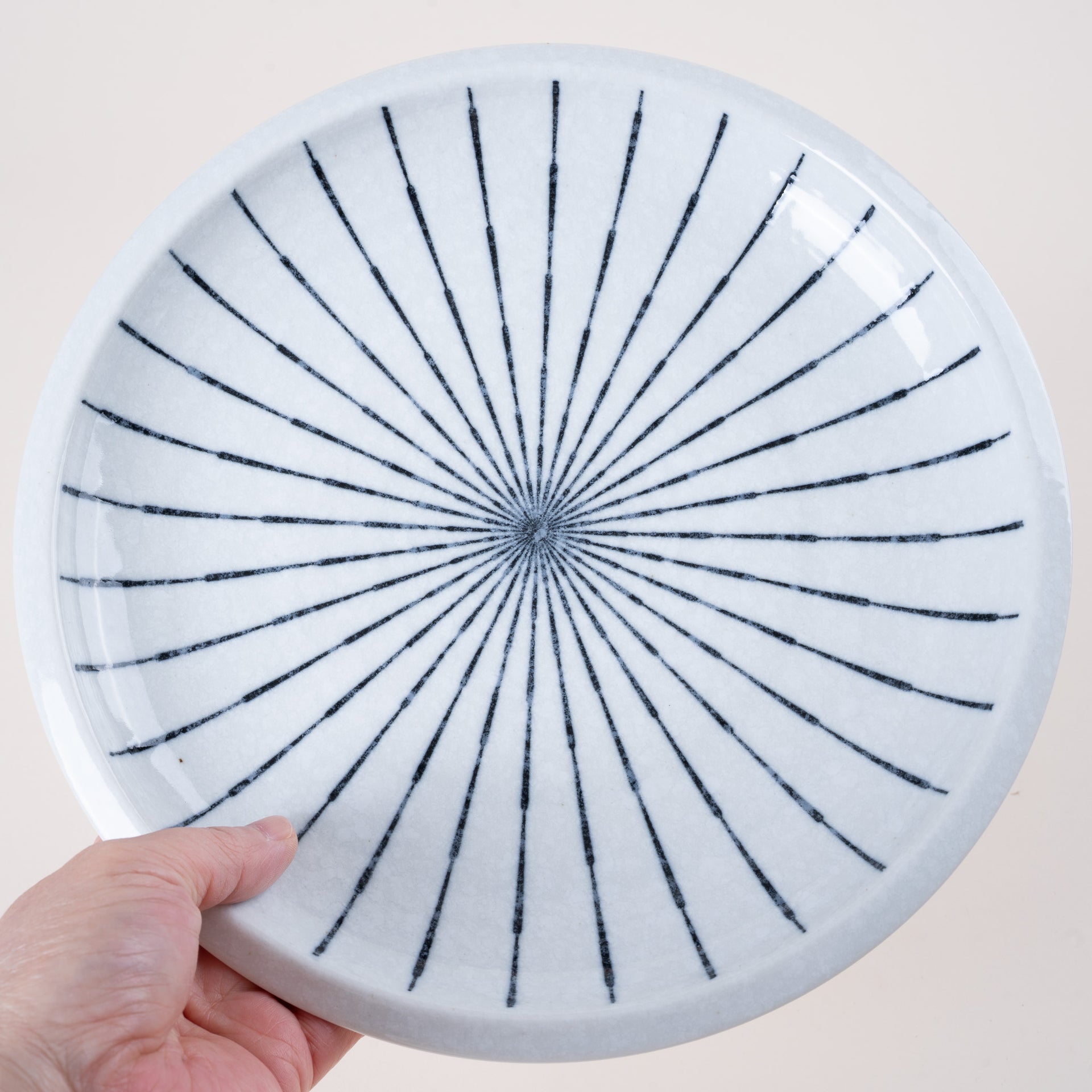 Daisy Spoke Pattern Ceramic Main Plate 25cm